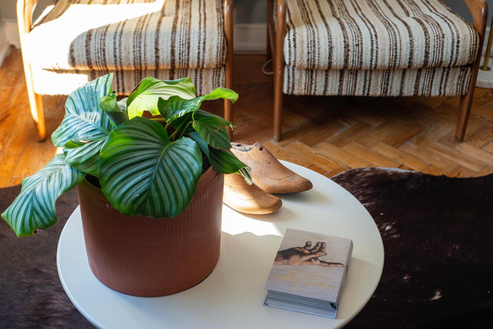 Graca - Castle | Lisbon Cheese & Wine Apartments ภายนอก รูปภาพ